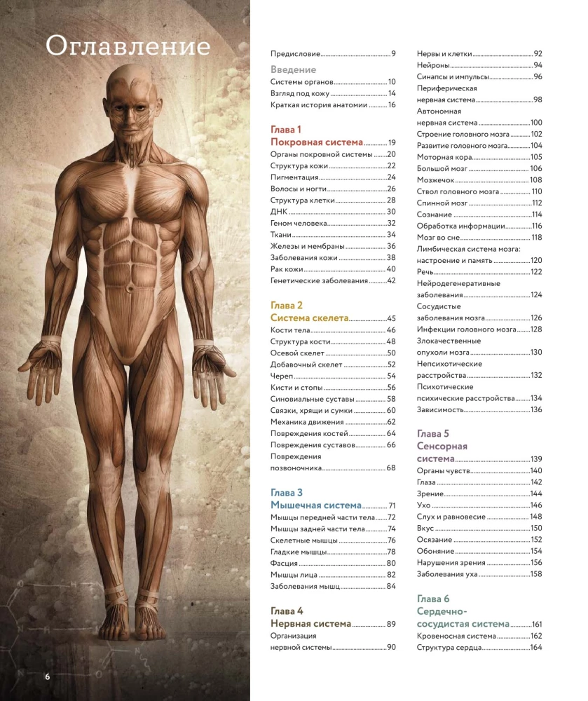 Anatomia człowieka. Wizualny przewodnik po wszystkich systemach organizmu: norma i patologie